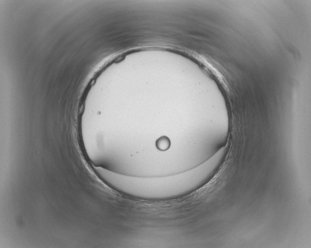 X0000115631477200912081033