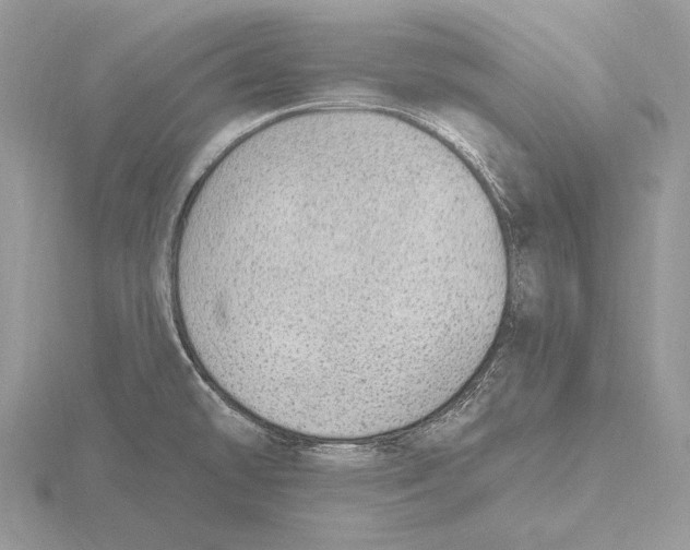 X0000115631478200912081033