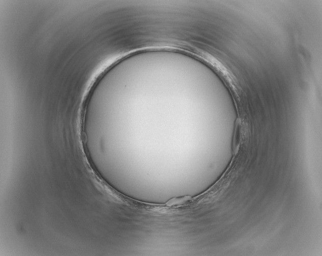 X0000115631480200912081033