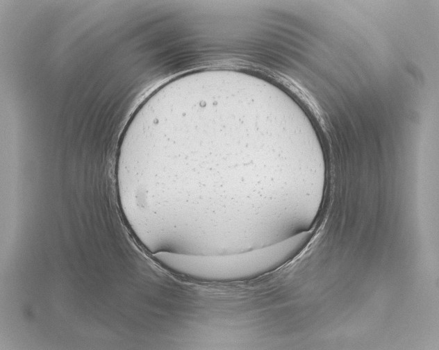 X0000115631481200912081033