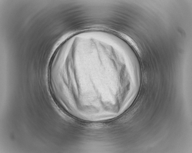 X0000115631482200912081033