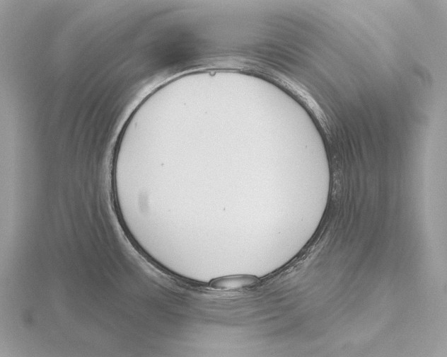 X0000115631483200912081033