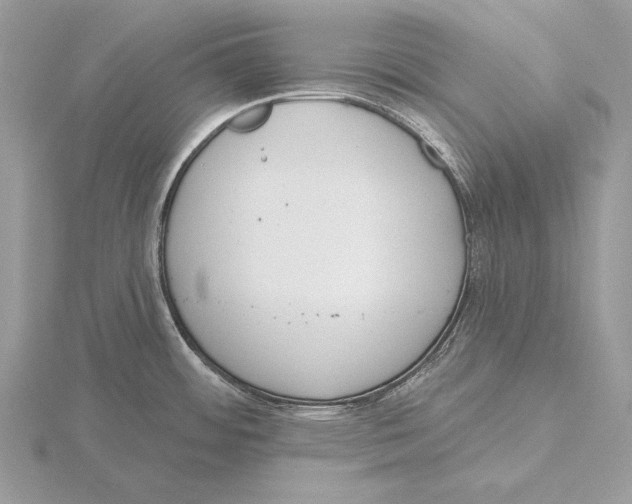 X0000115631484200912081033