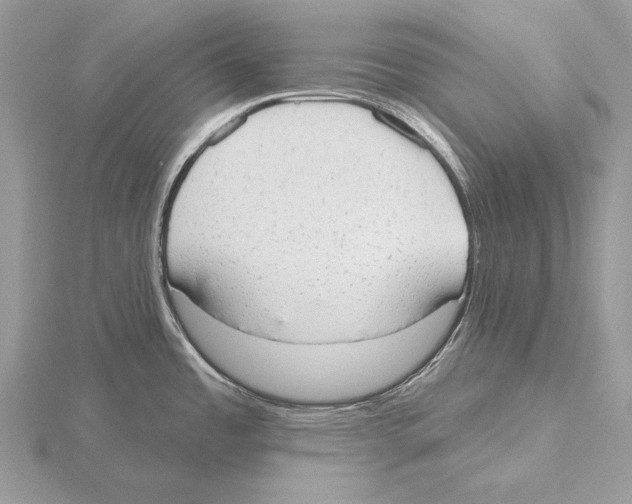 X0000115631485200912081033