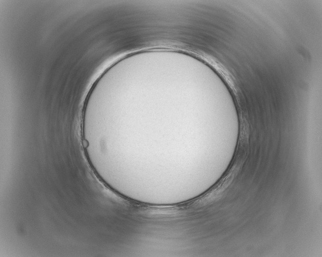 X0000115631486200912081033