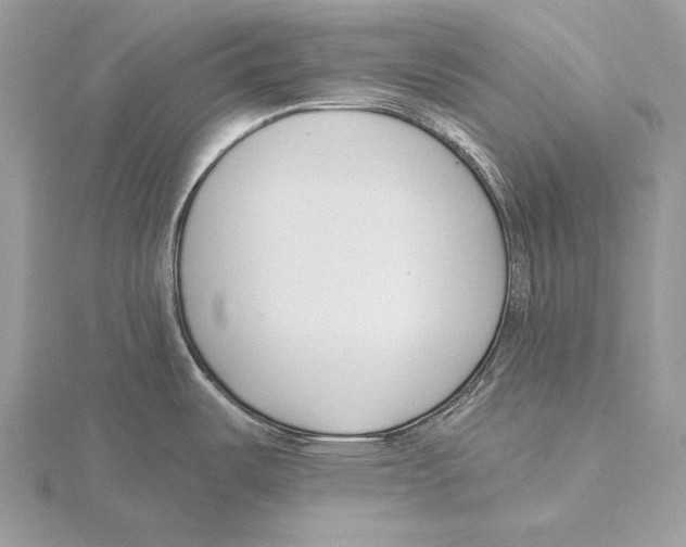 X0000115631487200912081033