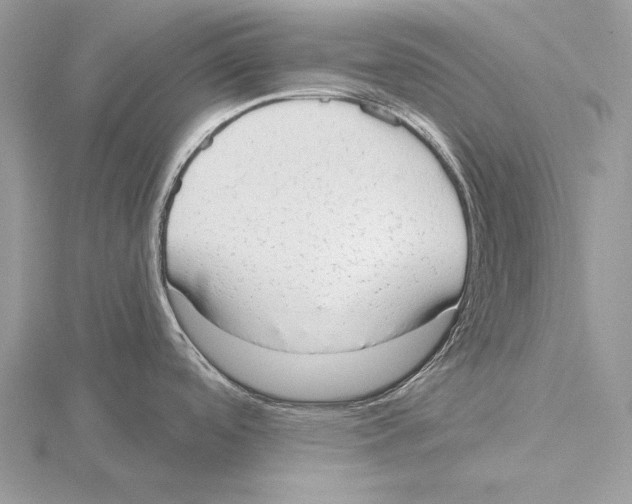 X0000115631488200912081033