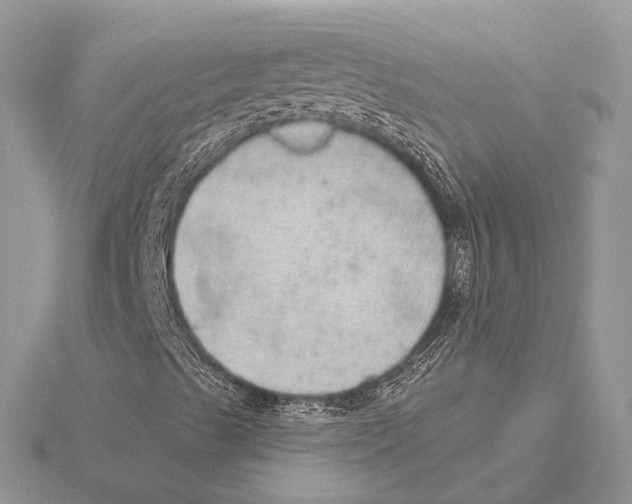 X0000115631489200912081032