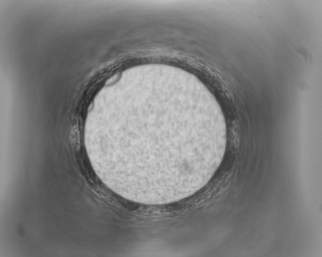 X0000115631493200912081032