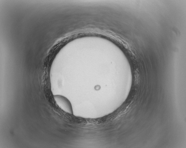 X0000115631494200912081032