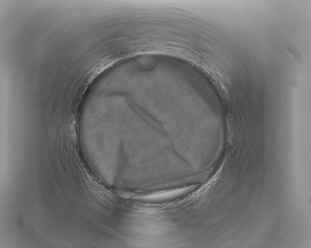 X0000115631497200912081033