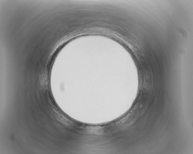 X0000115631498200912081033