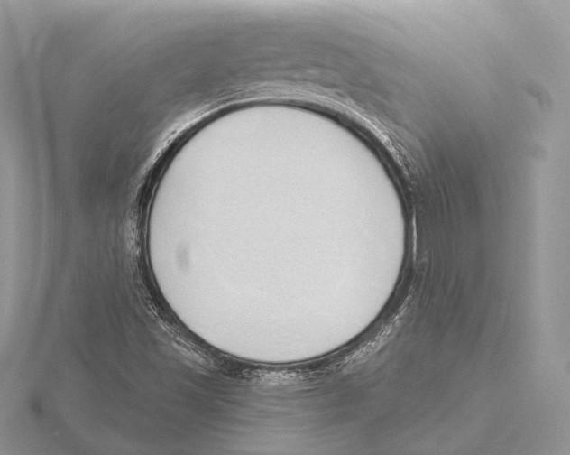 X0000115631501200912081033