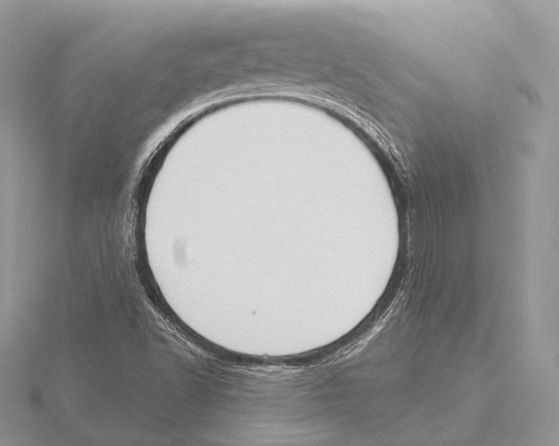 X0000115631502200912081033