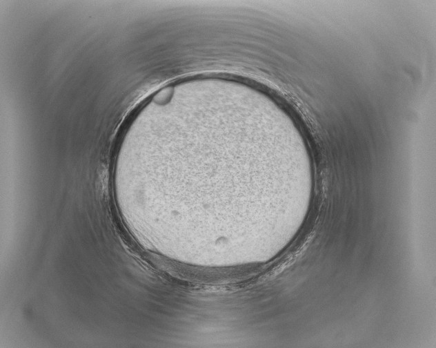 X0000115631505200912081033