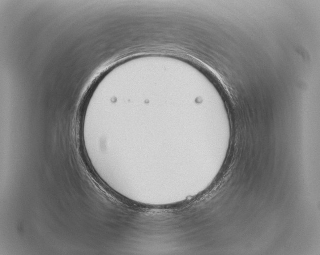 X0000115631506200912081033