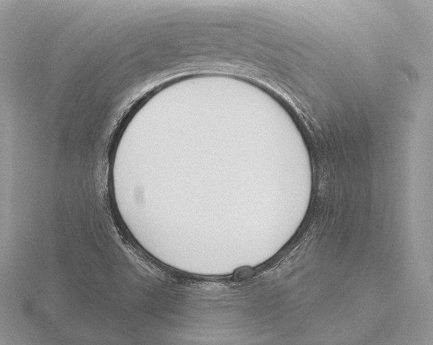 X0000115631507200912081033