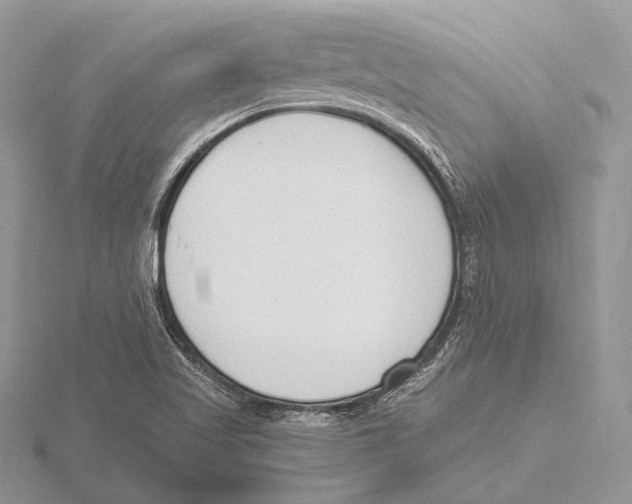 X0000115631509200912081033