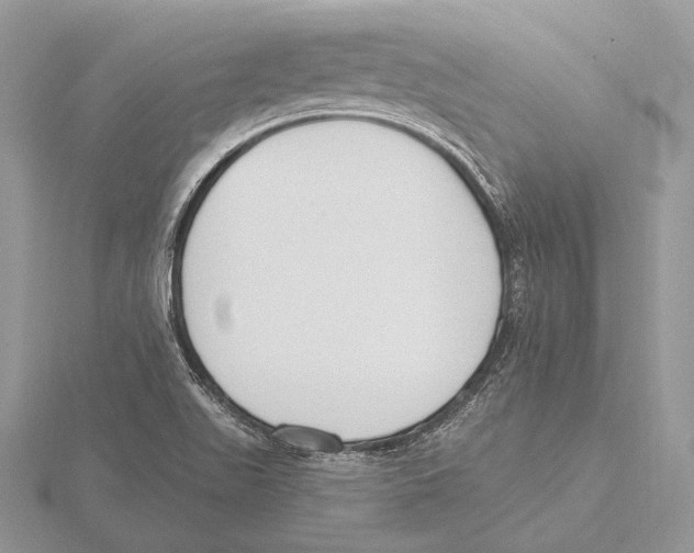 X0000115631511200912081033