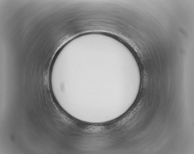 X0000115631513200912081033