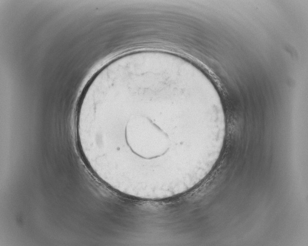 X0000115631514200912081033