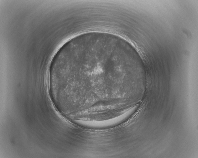 X0000115631515200912081033