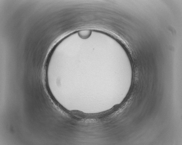 X0000115631517200912081033