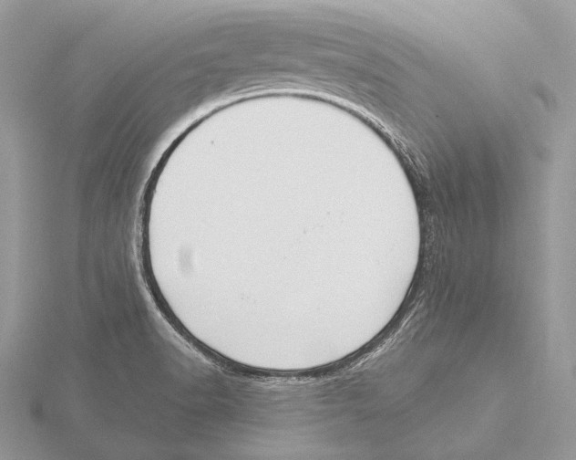 X0000115631518200912081033