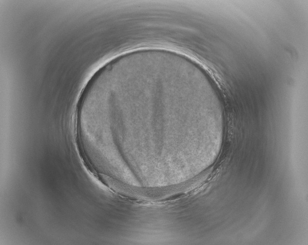 X0000115631519200912081033