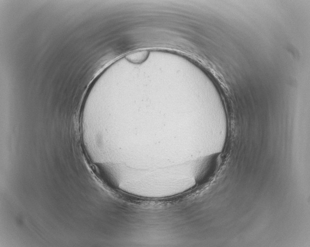 X0000115631521200912081033