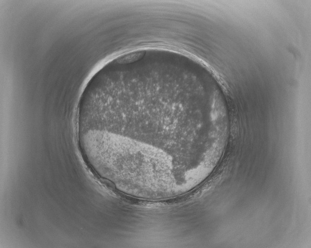 X0000115631522200912081033