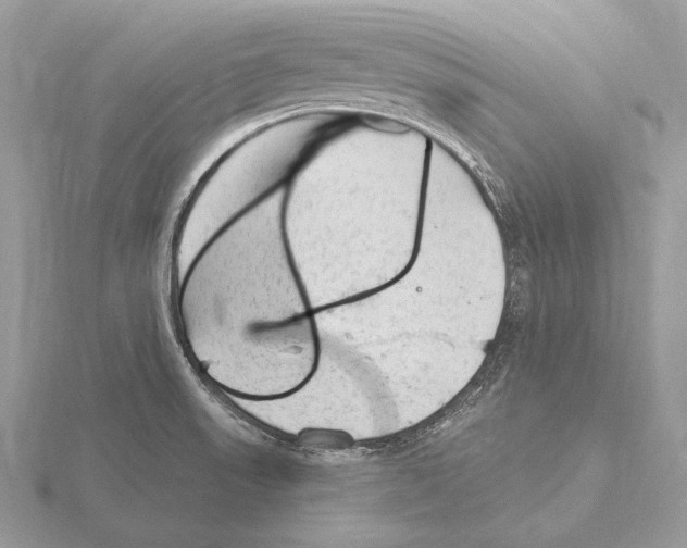 X0000115631523200912081033