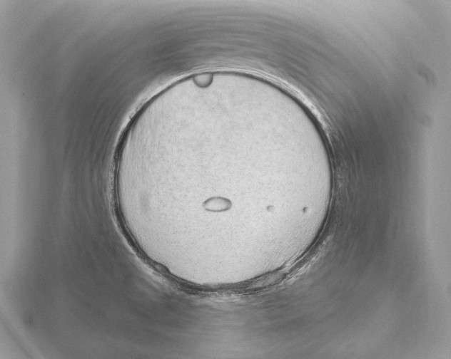 X0000115631525200912081033