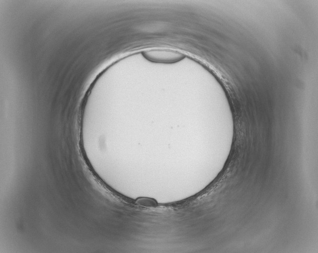 X0000115631526200912081033