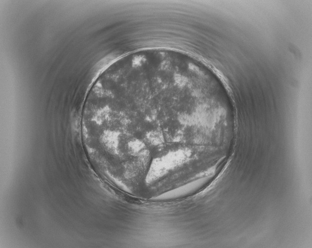 X0000115631529200912081033