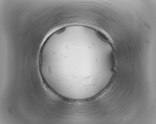 X0000115631530200912081033