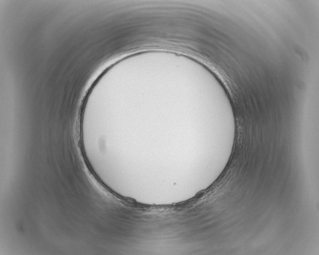 X0000115631531200912081033