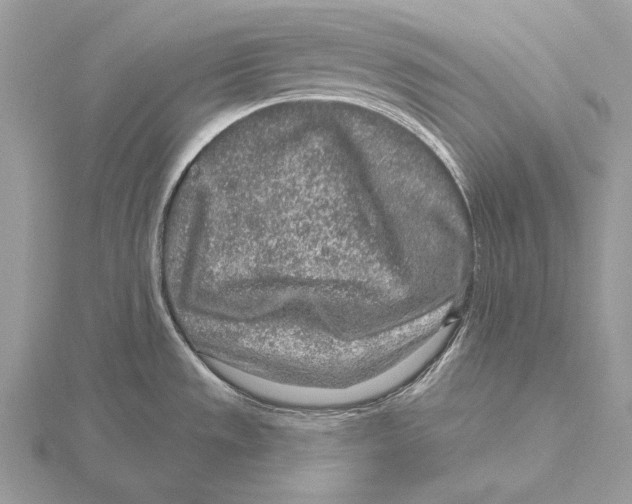 X0000115631533200912081033