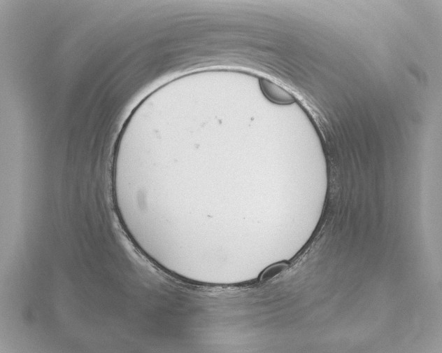 X0000115631534200912081033