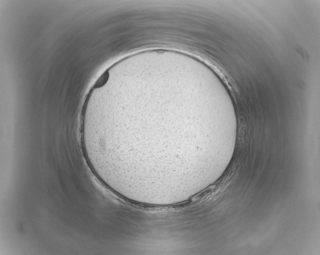 X0000115631535200912081033