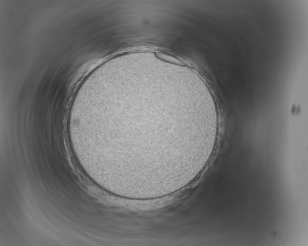 X0000115630001200912221259