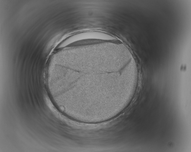 X0000115630002200912221259