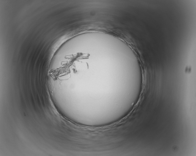 X0000115630003200912221259