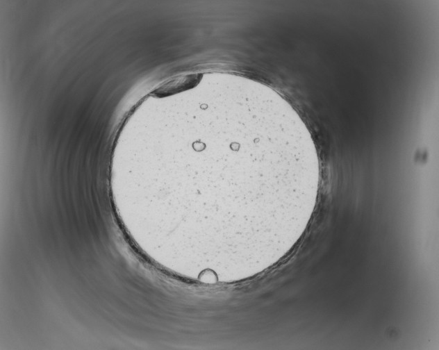 X0000115630004200912221259