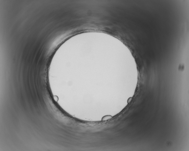 X0000115630005200912221259