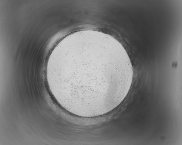 X0000115630006200912221259