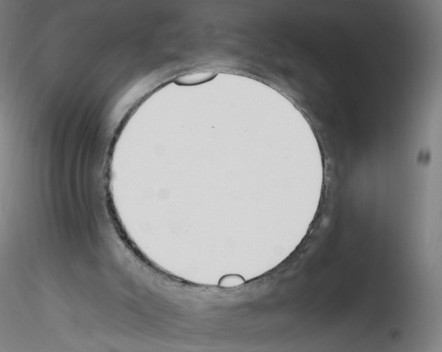 X0000115630007200912221259