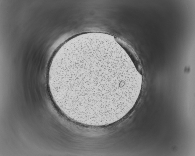 X0000115630008200912221259