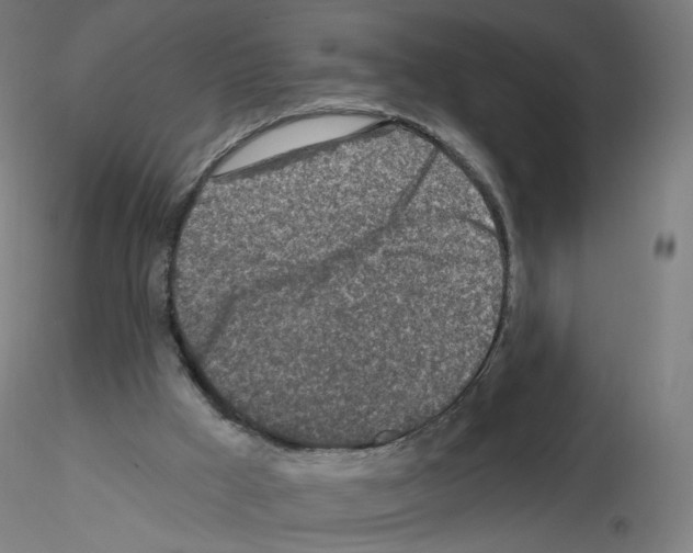 X0000115630009200912221259