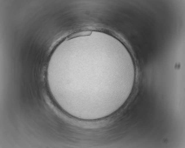 X0000115630010200912221259